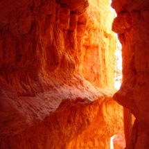 Bryce Canyon 2004